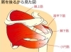 ローテーターカフ「ゴルフあるある肩痛！？【ジム/ボディメイク/ダイエット/パーソナルジム/安心安全/小伝馬町/人形町/馬喰町/浜町】」
