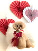 リリアちゃん／プードル「Happy Valentine ♡」