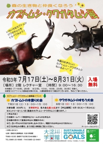 臨時休館 企画展 森の生き物と仲良くなろう カブトムシ クワガタムシ展 In大淀川学習館 まいぷれ 宮崎