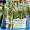 「春の訪れ『花わさび』が入荷しました！」