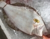 「魚魚市場鮮魚コーナーおすすめは「天然ヒラメ・シビマグロ」です♪」