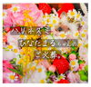 ハリネズミ/針鼠/ちゃんの火葬「✿ペット火葬/個別立会火葬の実施✿ ハリネズミ/ハリネズミ火葬/針鼠/ペット火葬/ペット火葬場/小動物火葬」
