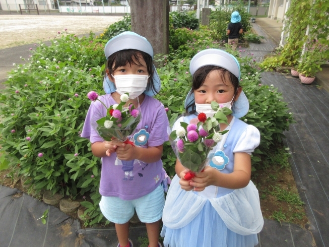 かわいいお花でしょ♡「かわいいお花を摘みました～✿」