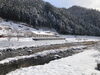 雪景色のファミリア愛、高梁川の石も綿帽子姿「この冬2度目の本格的な雪が降りました。」