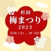「杉田梅まつり2023【磯子区・イベント】」