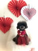 とわくん／こぐまカット　指名スタイリストＳＡＫＩ「Happy Valentine ♡」