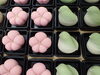 「梅に鶯　練り切り」
