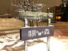 「お足元の悪い中沢山のご来店ありがとうございます。本日も元気に営業しております。」