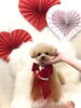 はなちゃん／テディベア　ショート「Happy Valentine ♡」