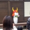 「今週のスタッフの日常をお知らせします。」