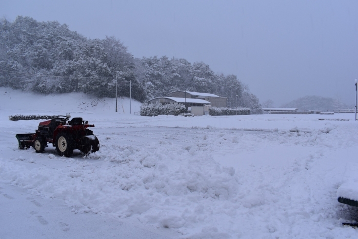 「～本日の舞鶴の雪情報～」