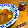 主人特性スパイスカレーが辛ぇ〜！泣「今週から２月は入りますよ〜♡お疲れ溜まっていませんか？【宮崎市 LIHI 脳洗浄 筋膜リリース よもぎ蒸し】」