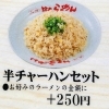 半チャーハンセット