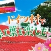 東京ドイツ村～秋の花ざかり～