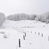 お花畑の様子「冬の入笠山で楽しむスノートレッキング❄︎」