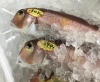 「魚魚市場鮮魚コーナーおすすめは「チカメキントキ」です♪」