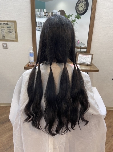 このようにカットして行きます「ヘアードネーション」