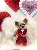 ふむくん／ヨークシャーテリア　ミッキーカット「Happy Valentine♡」