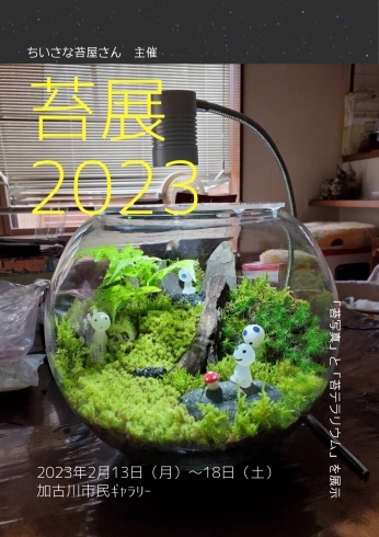 「「苔展２０２３」ｉｎ 加古川　【加古川市民ギャラリー@加古川観光協会】」