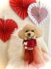 Ｇroくん／こっとんカット「Happy Valentine ♡」