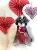 こなつちゃん/ボディふわりスタイル　　　「Happy Valentine ♡」