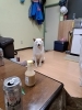 「積極的休養をするなら☆」