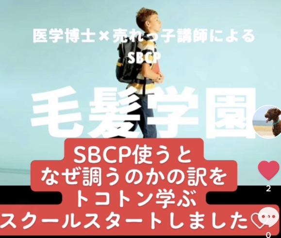 sbcp「毛髪学園」