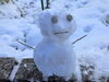 数十年ぶり？に作った雪だるま「2月スタート！」