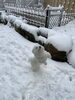 飛んで雪を食べるのトォースです「スタッフさんを募集」