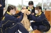 「【日星高等学校看護科1年生の探求学習】」