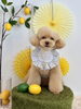 オレオくん「わんことレモン🍋」