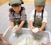 麹を手でほぐします「下ごしらえ」