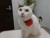 「＊美味しいものにご注意ください＊」