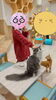 ヨシヨシさせてくれました！「猫カフェ　　　山口市のお困りごとはNCSへ」