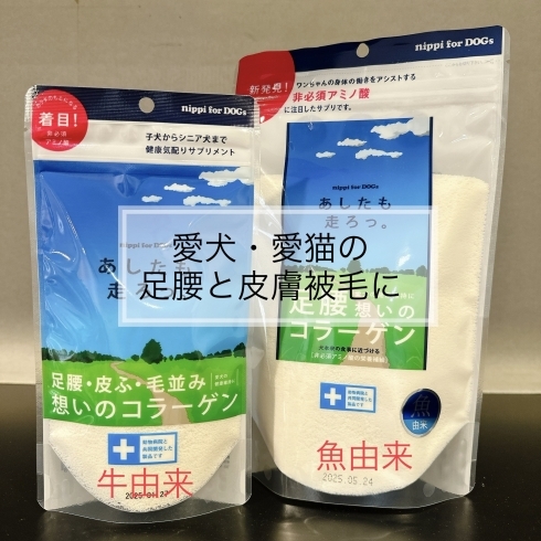 当店は牛由来に加え魚由来も取り扱っています「愛犬・愛猫の足腰・皮膚・被毛のためのコラーゲンです。」