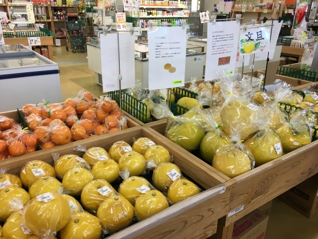 「【川島店】様々な柑橘類を販売！」