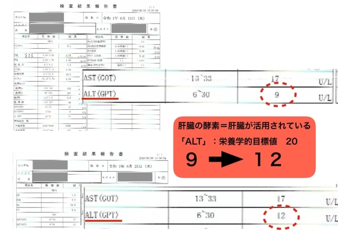 「totellの整体について　②」