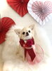 しらこちゃん「Happy Valentine ♡」