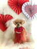 サランちゃん／こっとんカット　ショート「Happy Valentine ♡」