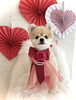 モモちゃん／シャンプーコース「Happy Valentine ♡」