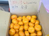 熊本産の金峰みかん！「甘いみかん入荷しています☆」
