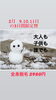 顔、VIO込の価格です「雪まつりキャンペーン」
