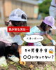1「【児童手当どうしてますか？】｜江戸川区の子育て世代のためのファイナンシャルプランナー」