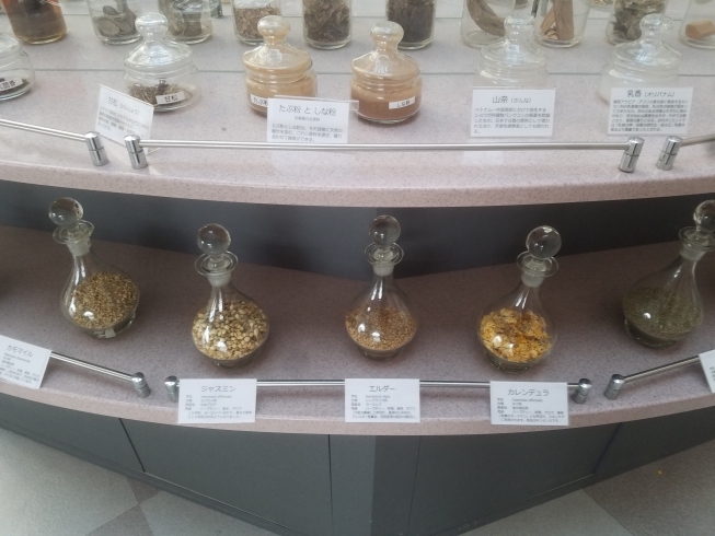 香りにまつわる展示品がいっぱいな香りの館❗「香りは無限❗」