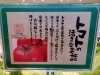 「色々な種類のトマトが並んでいます…是非ご覧下さい❗」