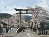 「【4月5日（日）開催】石鎚神社さくら祭り・春季例大祭＆石鎚パンマルシェ🌸」