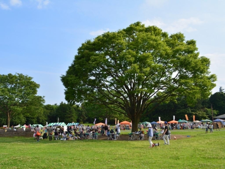 ふれあい広場には沢山のブースが！