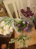 チューリップ パルミラ，クラウンオブダイナスティ等「春のお花 いろいろ入荷しました❗八重咲き 黒いチューリップ、王冠咲きのチューリップ、アネモネなどなど。。。」