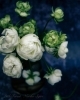 photo noriko sejiri「＊　２月のご予約可能日について」