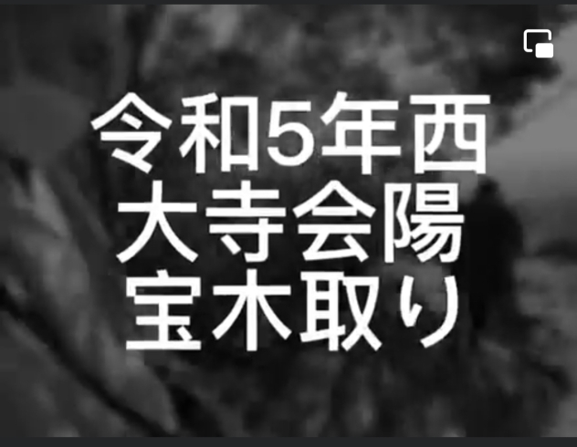 「令和5年西大寺会陽」